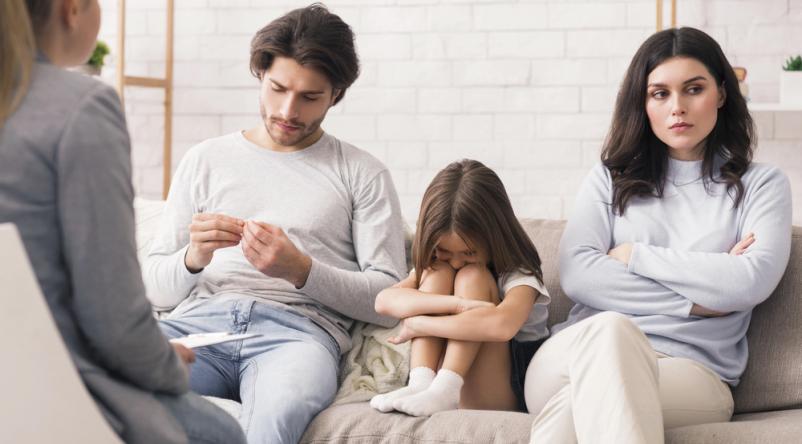 Delavnice za postavitev družine Ljubljana, Slovenija