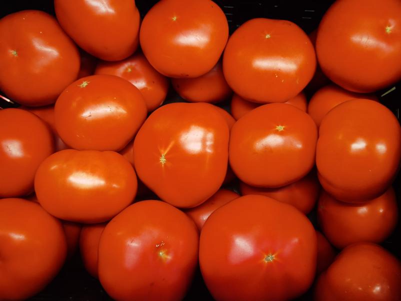 Oskrba trgovskih centrov s sadjem in zelenjavo Slovenija