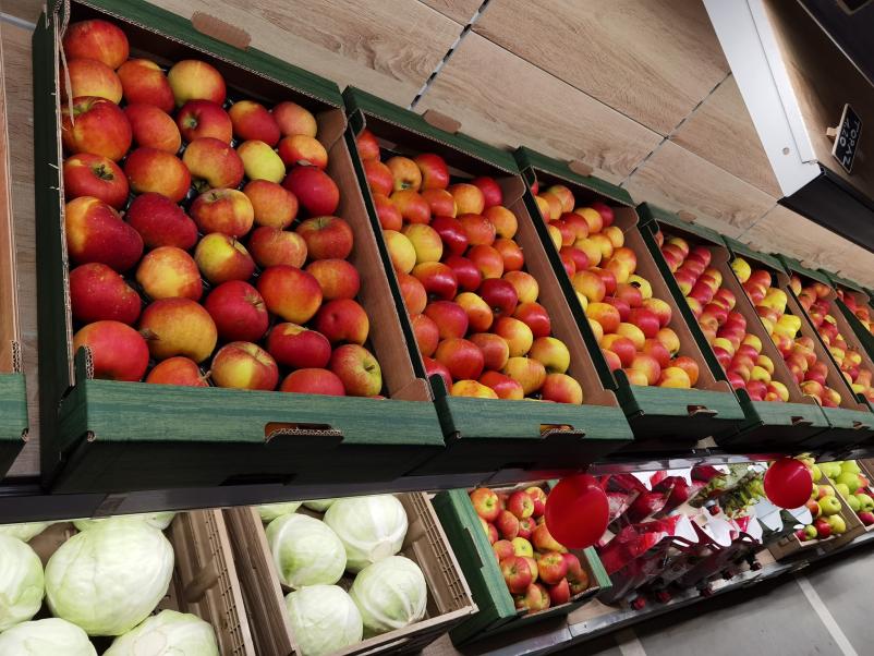 Distribucija sadja in zelenjave Slovenija