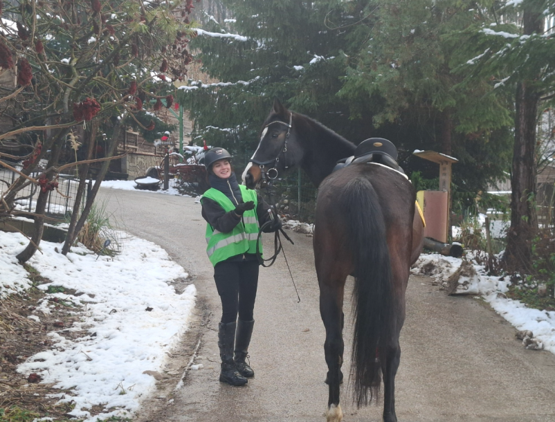 Vpis v šolo jahanja Podravska