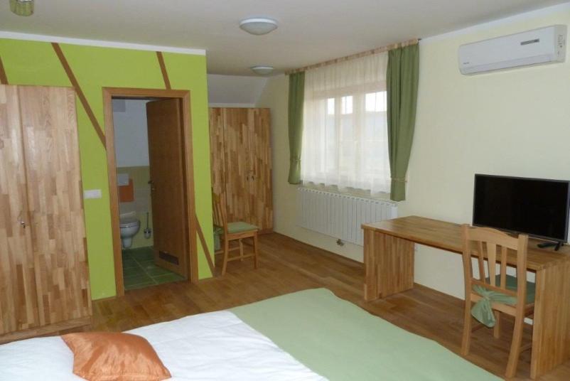 Gibalno oviranim dostopen apartma Rogaška Slatina