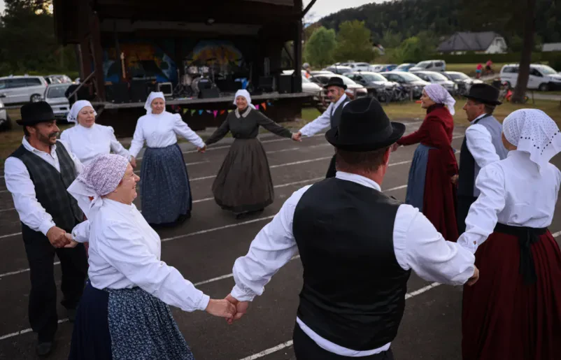 Festival štrukljev