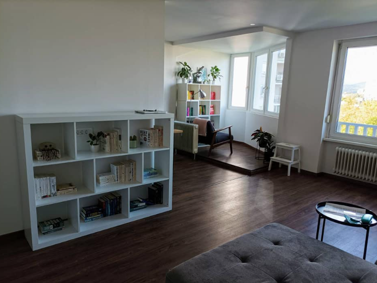 Adaptacije Ljubljana