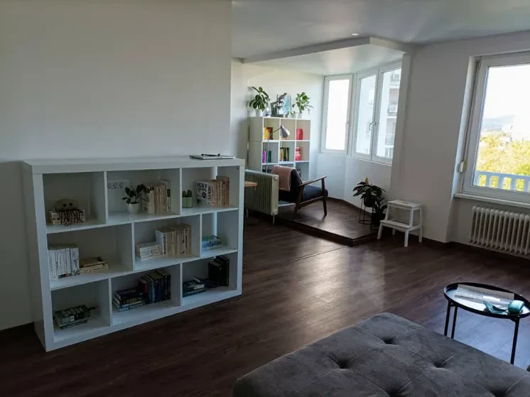 Adaptacije Ljubljana