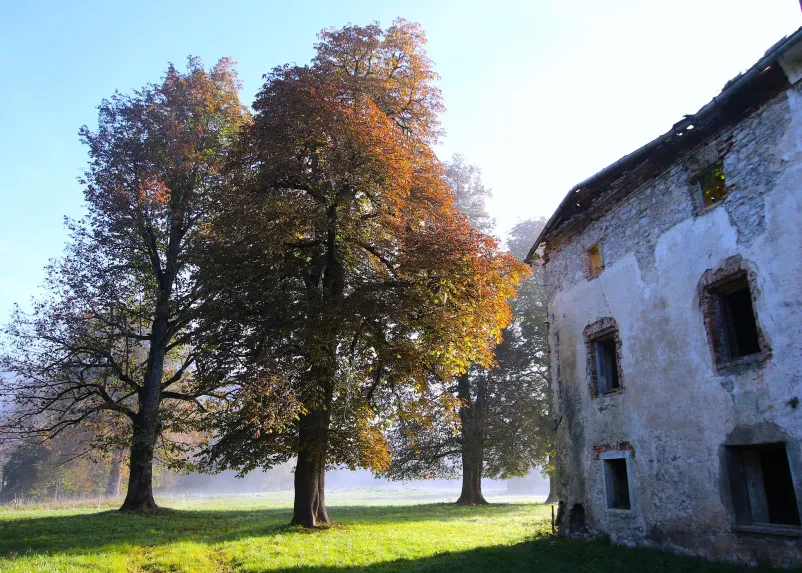 Javni zavod za kulturo, turizem in medgeneracijsko sodelovanje Snežnik