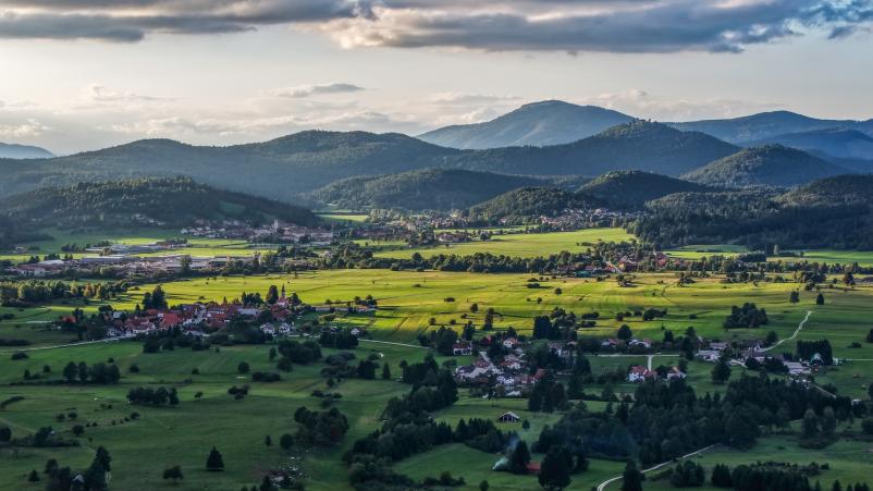 Zavod za kulturo Snežnik