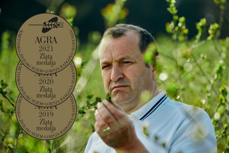 Ročna destilacija aronije Slovenija