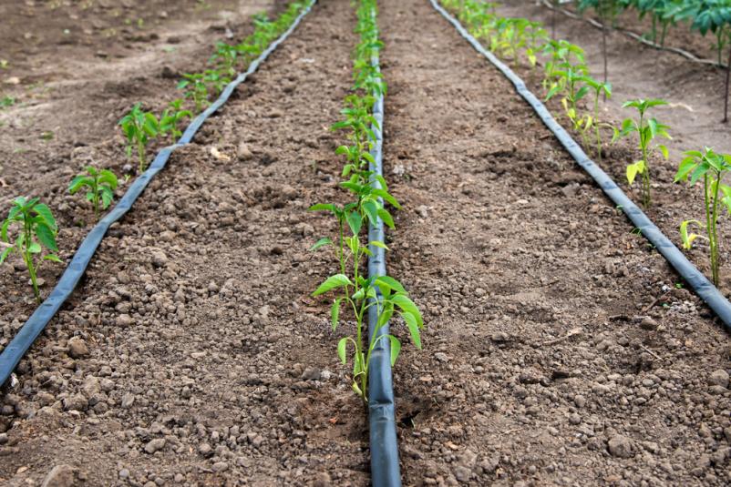 Namakalni sistemi Šoštanj