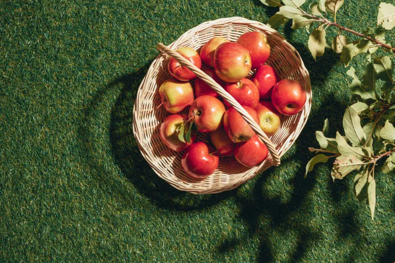Društvo za ohranjanje tradicije sadjarstva Tunjice
