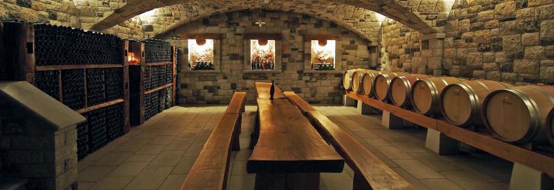 Obisk vinske kleti Kras