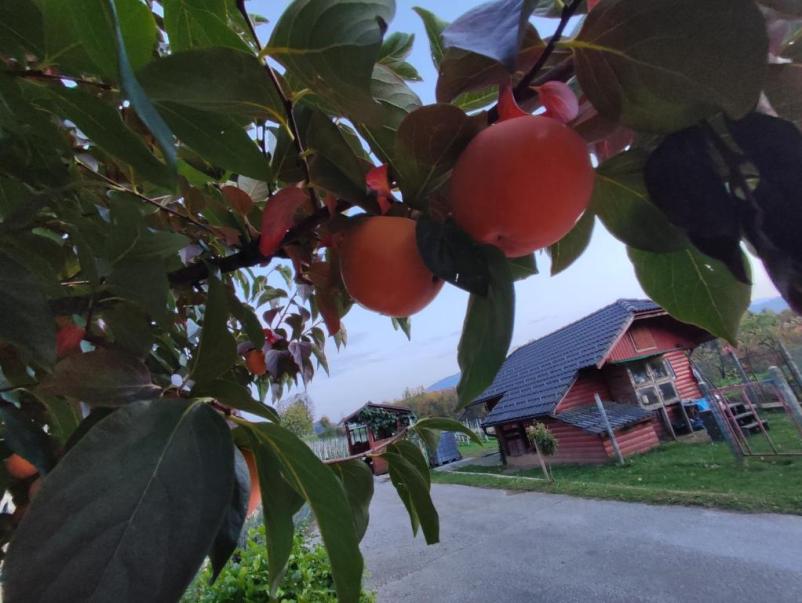 Nastanitev na turistični kmetiji Dvor