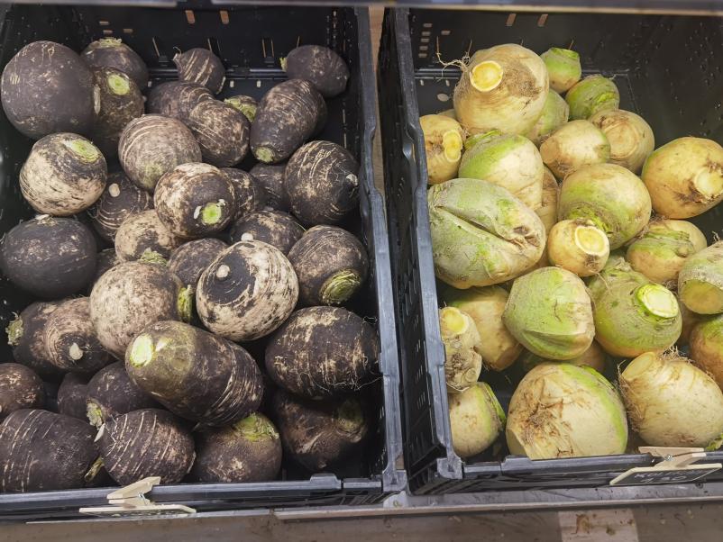 Organiziran prevzem sadja in zelenjave po Sloveniji