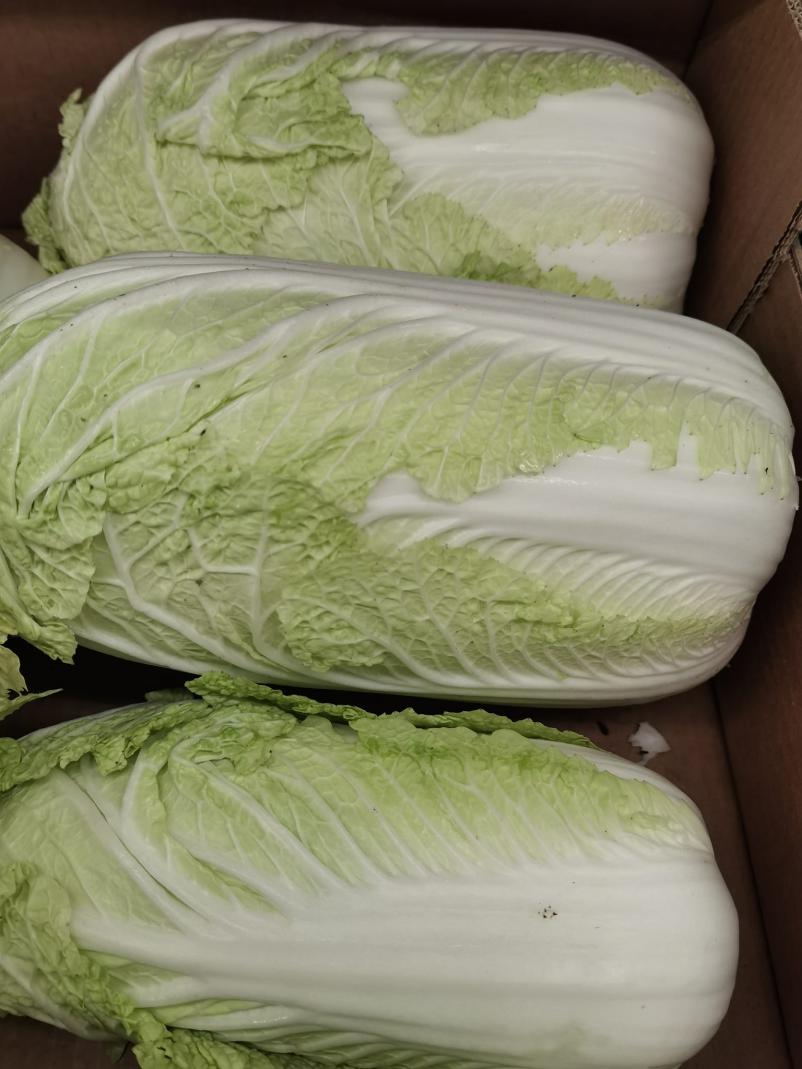 Distribucija domačega sadja in zelenjave Slovenija