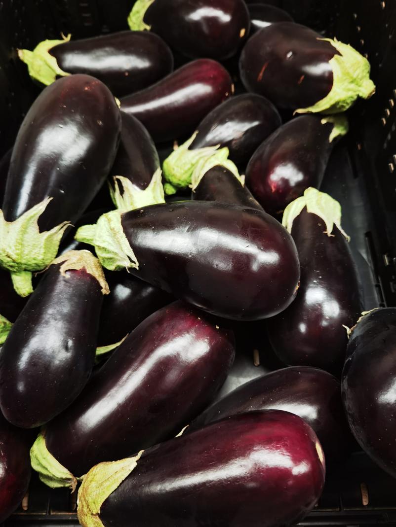 Dolgoročno sodelovanje s kupci sadja in zelenjave Slovenija