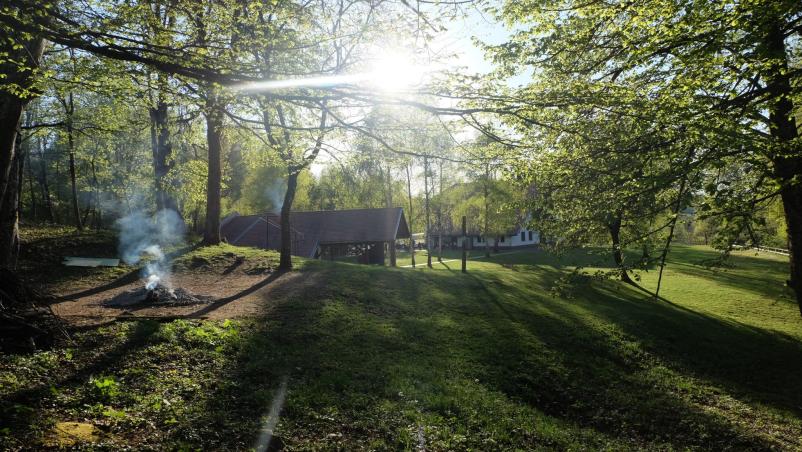 Organizacija taborov Gorenjska