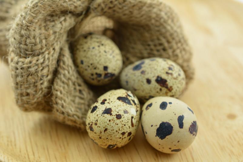 Domača prepeličja jajca Bela krajina