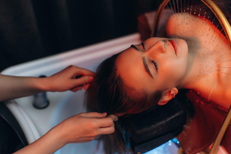 Nega lasišča Štajerska