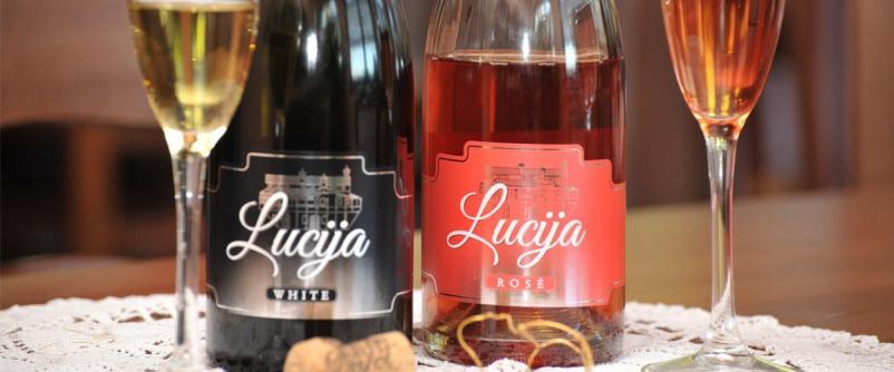 Podeželska turistična domačija z nastanitvijo Podsabotin