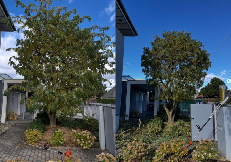 Strokovno vzdrževanje zelenih površin Pomurje