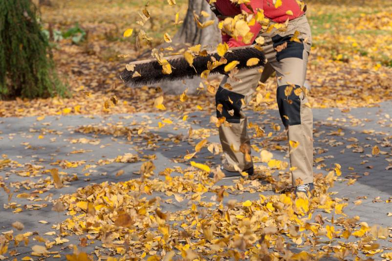 Urejanje dvorišč Šoštanj