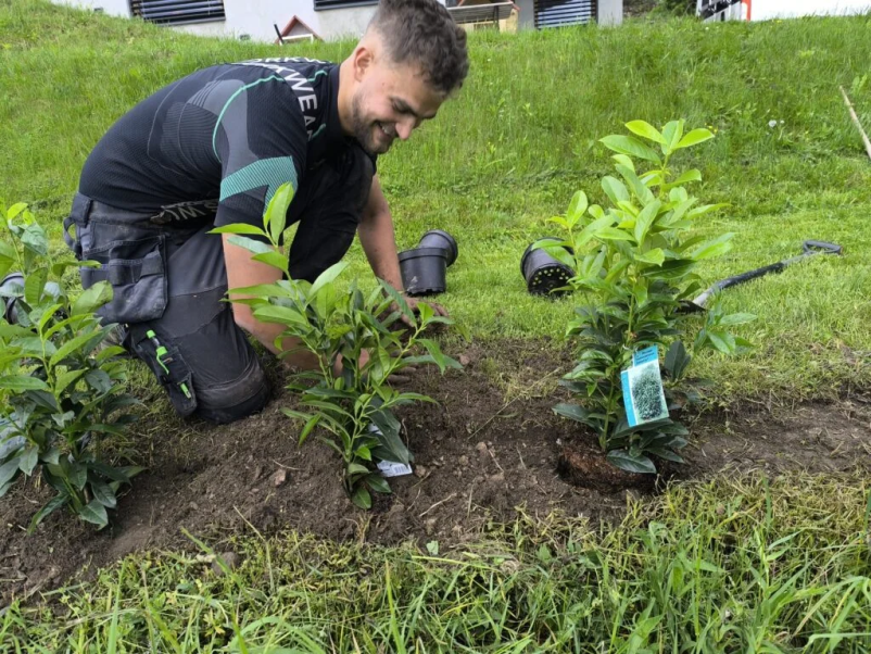 Urejanje vrtov in okolice Ljubljana
