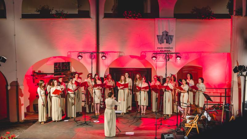 Vokalni nastopi in vključevanje v kulturno okolje Metlika