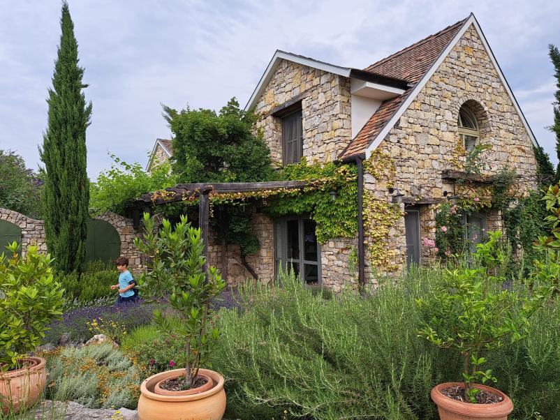 Vrhunska domača vina Pomurje