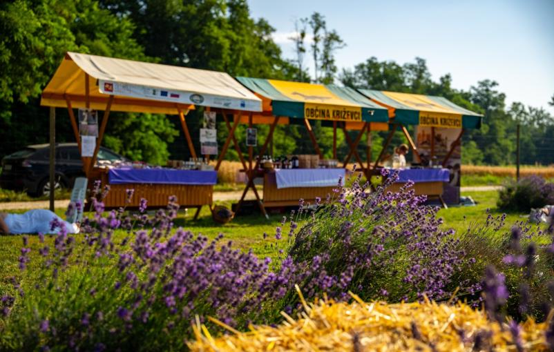 Prodaja vrhunskega vina Pomurje