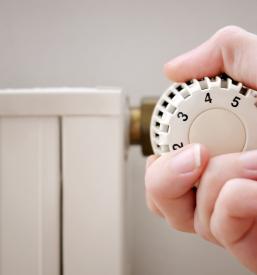 Ugodna Centralna kurjava Novo mesto