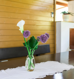 Garsonjera z letnim vrtom Tolmin