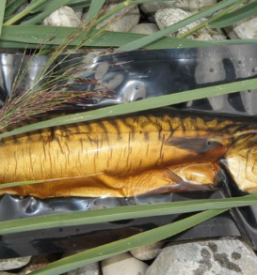 vakuumske vrečke za pakiranje živilskih izdelkov 