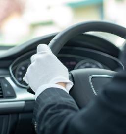 Voznik taksija Podravska