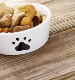 Hrana za hišne živali Gornja Radgona