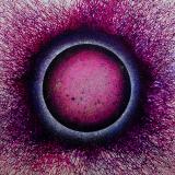 DAMBIJA, Damijana Bijek s.p.