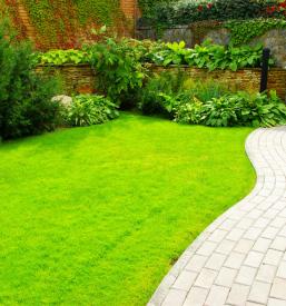 Lepo urejena zelenica