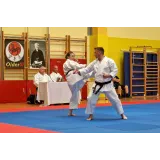 Karate klub OlderSi Ilirska Bistrica