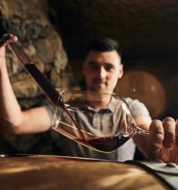 Degustacija vina v vinski kleti v Ajdovščini 