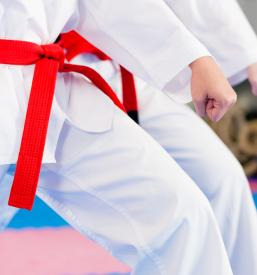Kupcem iz Slovenije nudimo ugodno športno opremo za borilne veščine, kot je karate 