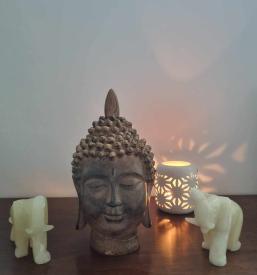 Mentoring for personal growth Slovenia