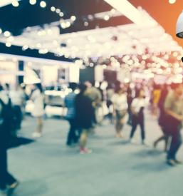 Izvajanje storitev varovanja Maribor, Štajerska