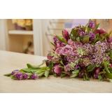 TISA Konrad Perc s.p.