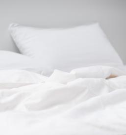 Ugodno oddajanje apartmaja Maribor