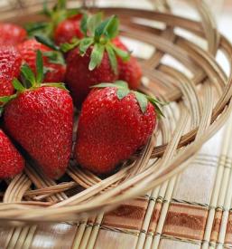 Domače jagode Zasavje