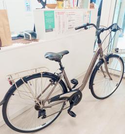 Trgovina s kolesi Ribnica