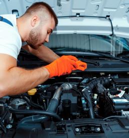 Vzdrževanje avtomobilov Celje, Savinjska