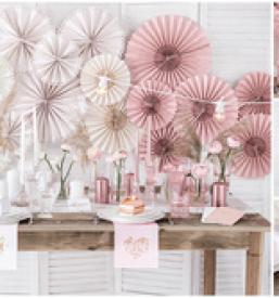 Organizacija praznovanja Podravje