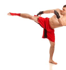 Klubi borilnih veščin v Sloveniji