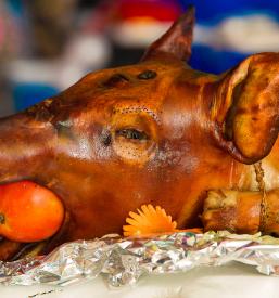 Sveži odojki Maribor