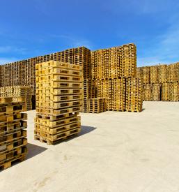 Izdelava termično obdelanih palet v Domžalah