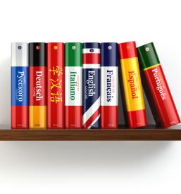 tolmačenje iz slovenščine v nemščino